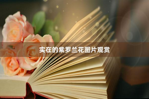 实在的紫罗兰花图片观赏