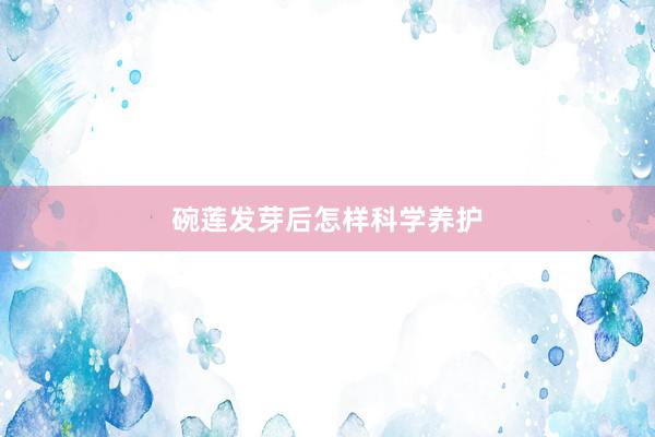 碗莲发芽后怎样科学养护